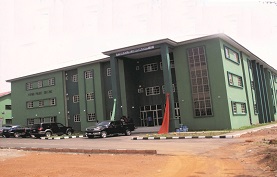 Our Services